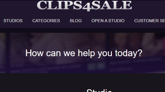 【C4S】とは？15年以上利用している私が画像を使って解説